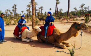 Discover Marrakech’s Hidden Treasures: Camel Ride, Quad Bike & Spa Treatment with Click Excursions